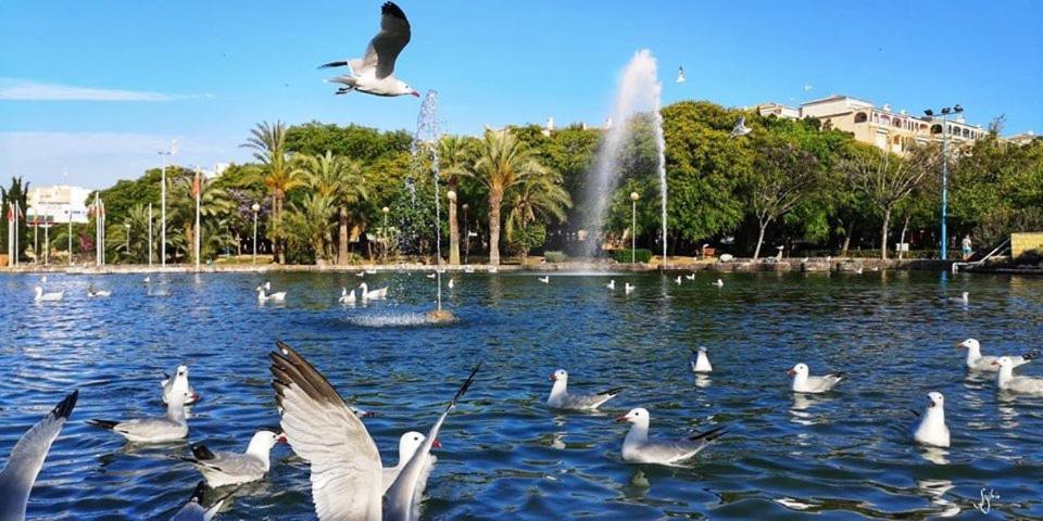 Torrevieja Experience Mar Azul Apartment Luaran gambar